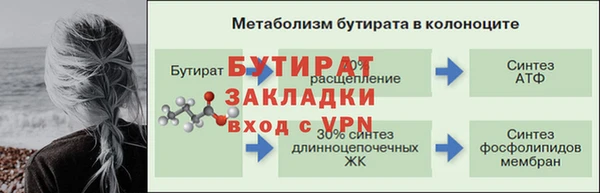 стаф Новодвинск