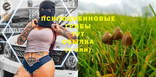ALPHA PVP Нефтекумск
