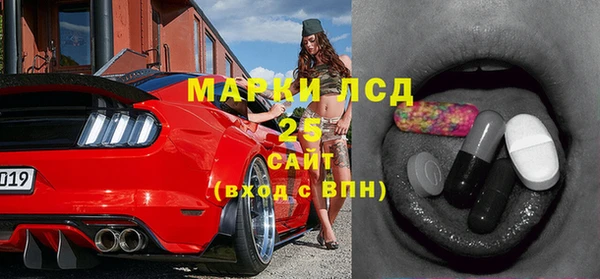 стаф Новодвинск